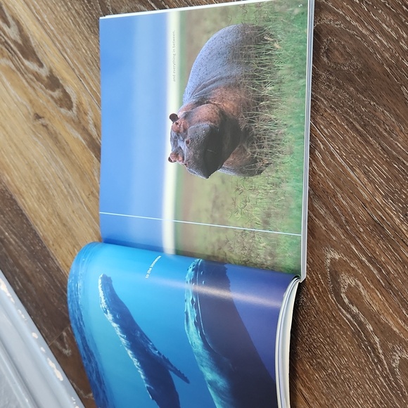 Priceless Vanishing Beauty of a Fragile Planet Book - Picture 8 of 16